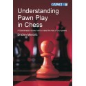 کتاب Understanding Pawn Play in Chess