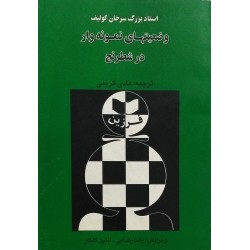 وضعیتهای نمونه وار در شطرنج