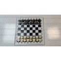 شطرنج مغناطیسی فرزین