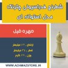 مهره فیل شطرنج فدراسیونی چترنگ مدل استوانه ای