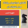 مهره اسب شطرنج فدراسیونی چترنگ مدل استوانه ای