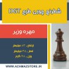 مهره وزیر شطرنج چوبی مدل dgt