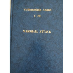 visW anathan anand c 89