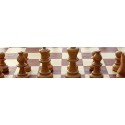 صفحه و مهره شطرنج