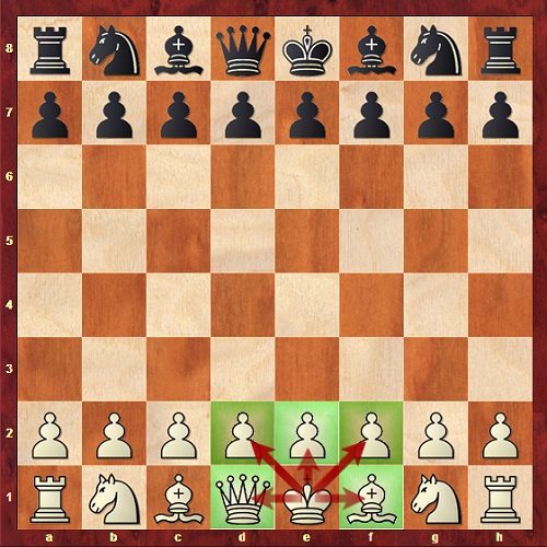 شاه در شطرنج چگونه حرکت میکند