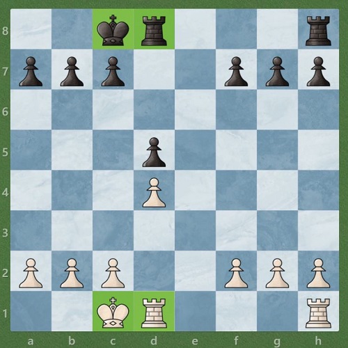 در شطرنج چند نوع قلعه داریم