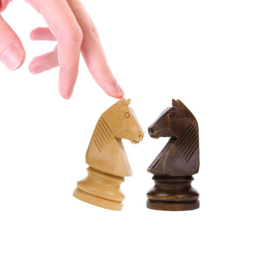 دو مهره اسب