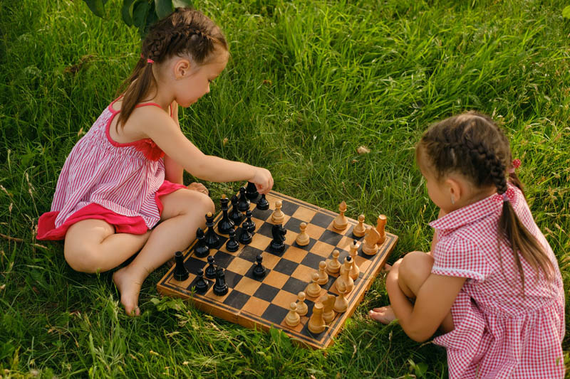 بازی شطرنج در طبیعت