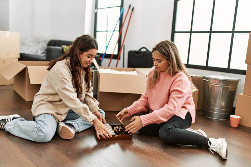 شطرنج دو تا دوست